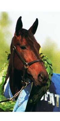 Ina Scot, Swedish racehorse, dies at age 24